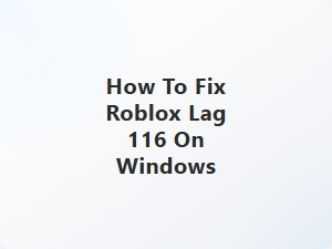 How to Fix Roblox Lag 116 on Windows