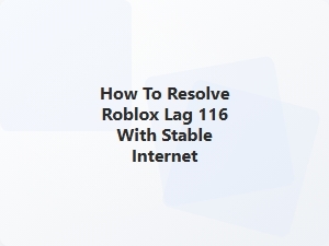 How to Fix Roblox Lag 116 with Stable Internet